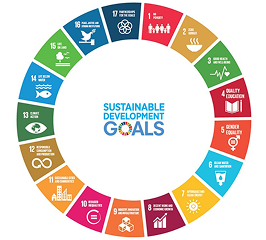 SDG